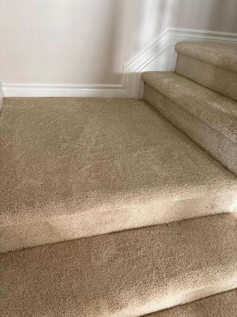 Small Carpet Repair Project in Kanata